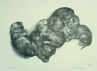 Five Kittens -  VAN DOBBENBURGH