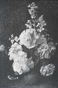 Floral Study -  BARKER