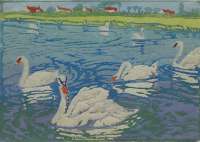 Swans -  PATTERSON