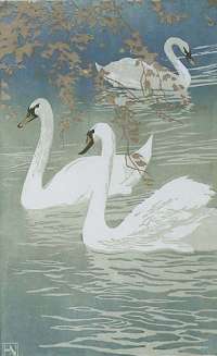 Swans - NEUMANN