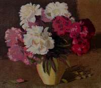 Peonies - NOVAK