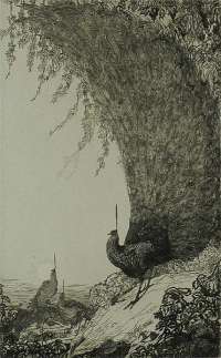 Peacocks (upright plate) - DETMOLD