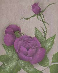 Roses #2 - RIST