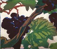 Grapes -  ROYDS