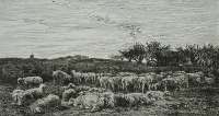 Field of Sheep, Morning (Parc a Moutons, Le Matin) -  DAUBIGNY