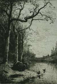 Marais de la Burbanche (Grande Planche); Marsh of the Burbanche (Large Plate) -  APPIAN